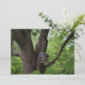 F.一口探食べす 招待状 (スタンド正面)