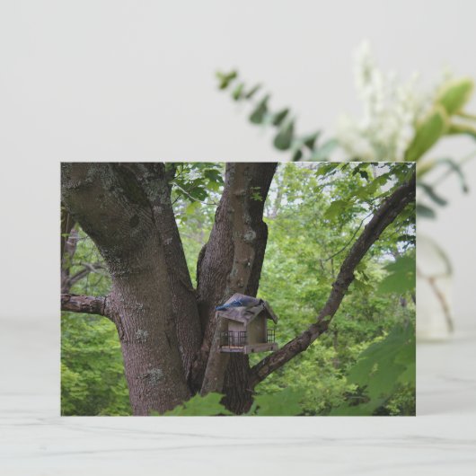 F.一口探食べす 招待状 (スタンド正面)