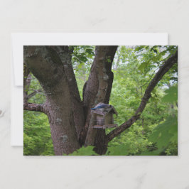 F.一口探食べす 招待状