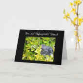 F.庭でカエルを カード (黄色い花)