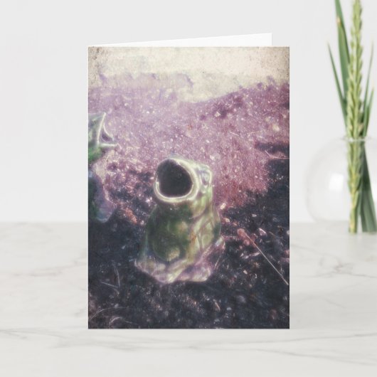 F.庭のカエル カード (正面)