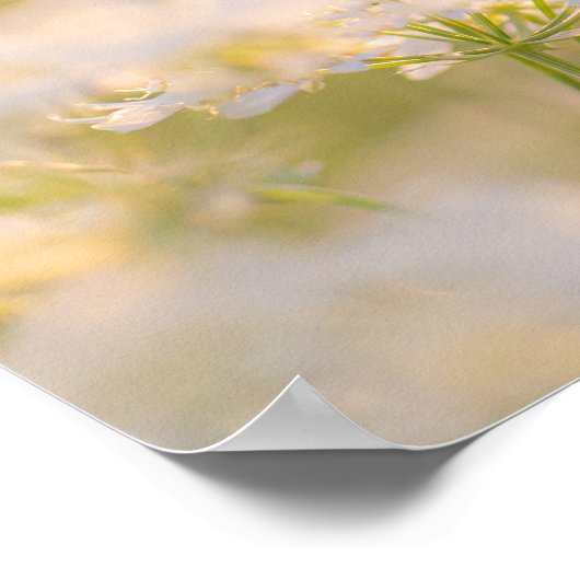 F.花で夢を見る ポスター (角)