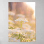 F.花で夢を見る ポスター (正面)