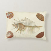 F.親切な貝殻の5つ アクセントクッション (裏面)
