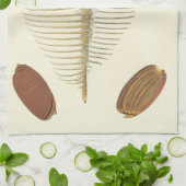 F.親切な貝殻の5つ キッチンタオル (折り畳み)