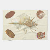 F.親切な貝殻の5つ キッチンタオル (横)