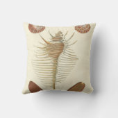 F.親切な貝殻の5つ クッション (裏面)