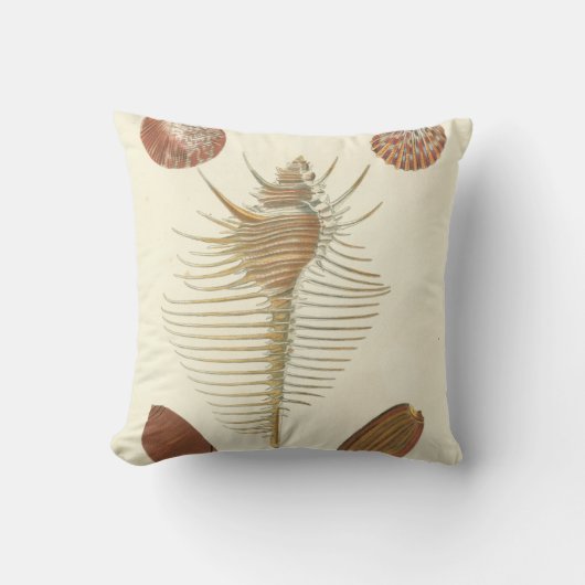 F.親切な貝殻の5つ クッション (正面)