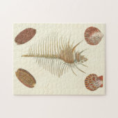 F.親切な貝殻の5つ ジグソーパズル (横)