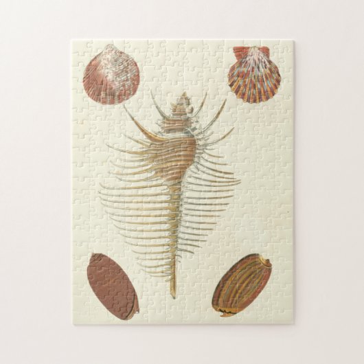 F.親切な貝殻の5つ ジグソーパズル (縦)