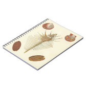 F.親切な貝殻の5つ ノートブック (左側)