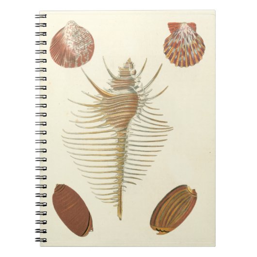 F.親切な貝殻の5つ ノートブック (正面)