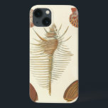 F.親切な貝殻の5つ iPhone 13ケース<br><div class="desc">ジョージ・ウルフガング・クノールは、彼のイラストレーションである貝やコンシュの繊細な詳細と精度で知られている。彼のスケッチは、彼の時代の主題である科学に対する彼の関心人気があるに影響を受けた。Knorrのユニーク作品は本当に自然の供え物の種素晴らし類や海洋生物を取り込む仕事違うをしている。</div>
