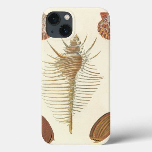 F.親切な貝殻の5つ Case-Mate iPhoneケース (裏面)