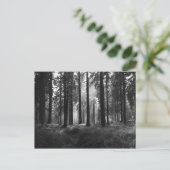 F.雨はがきの後 ポストカード (スタンド正面)