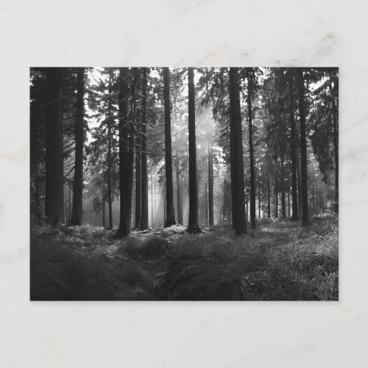 F.雨はがきの後 ポストカード (正面)