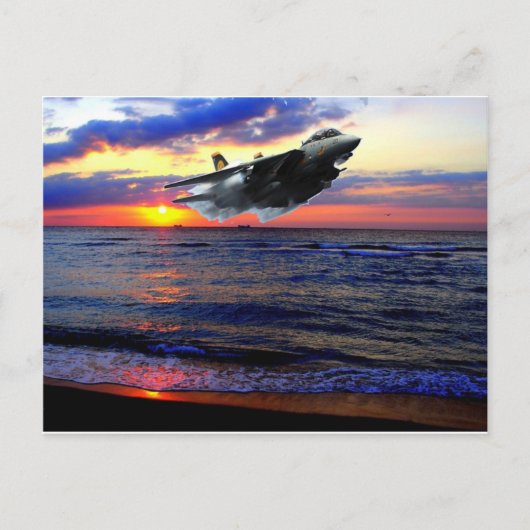 F-14雄猫 ポストカード (正面)