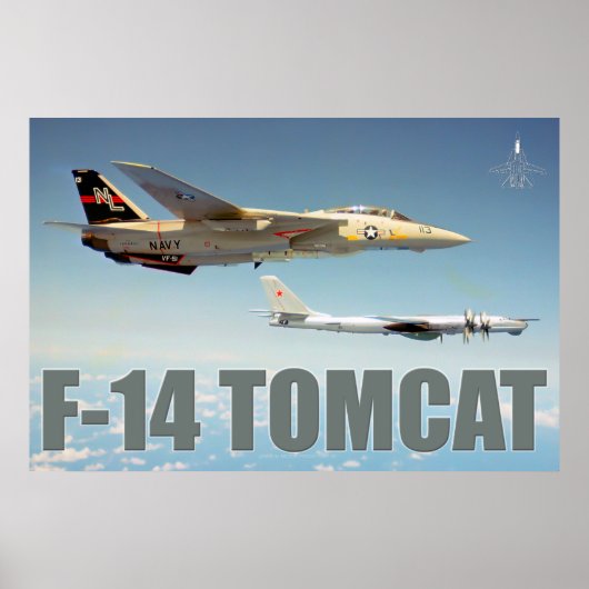 F-14 TOMCATの「クマ」ポスター ポスター (正面)
