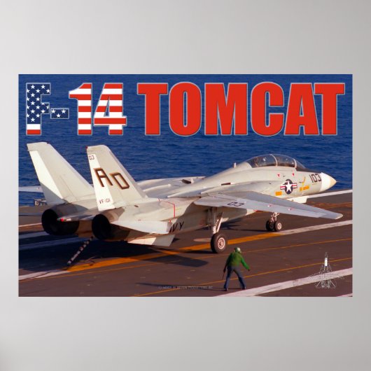 F-14 TOMCATの「トラップ」ポスター ポスター (正面)