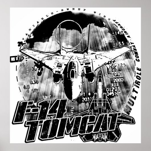 F-14 Tomcatポスター ポスター (正面)