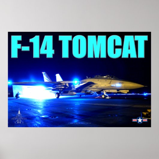 F-14 TOMCAT ポスター (正面)