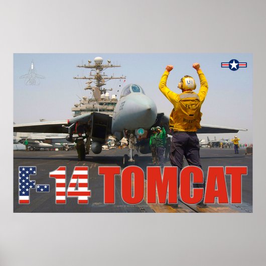 F-14 TOMCAT ポスター (正面)