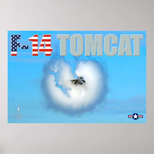 F-14 TOMCAT ポスター (正面)