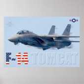 F-14 TOMCAT ポスター (正面)