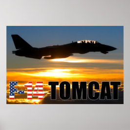 F-14 TOMCAT ポスター
