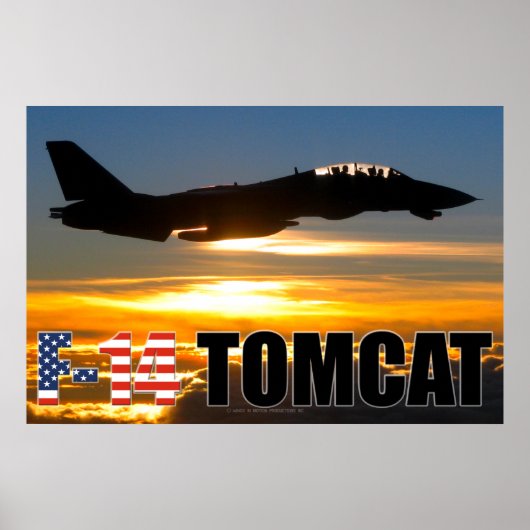 F-14 TOMCAT ポスター (正面)