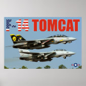 F-14 TOMCAT ポスター (正面)