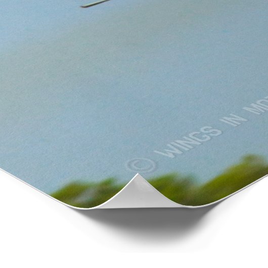 F-14 TOMCAT ポスター (角)