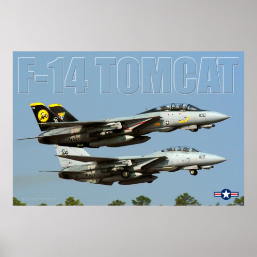 F-14 TOMCAT ポスター (正面)