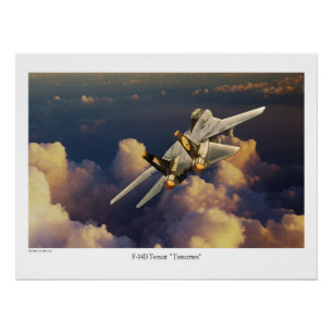 F-14 Tomcat  ポスター