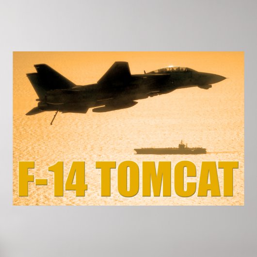 F-14 TOMCAT ポスター (正面)