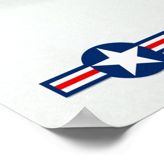 F-14 TOMCAT ポスター (角)