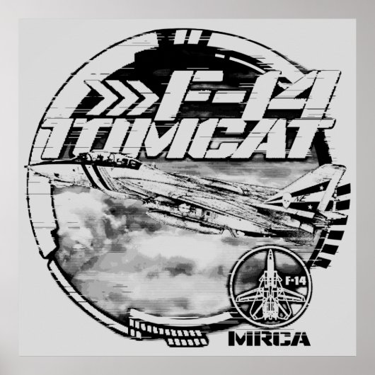 F-14 Tomcat ポスター (正面)