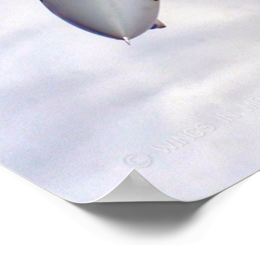 F-14 TOMCAT ポスター (角)