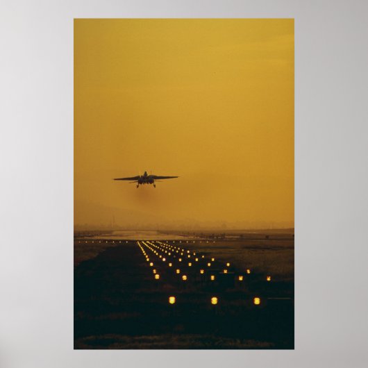 F-14 "Tomcat" ポスター (正面)