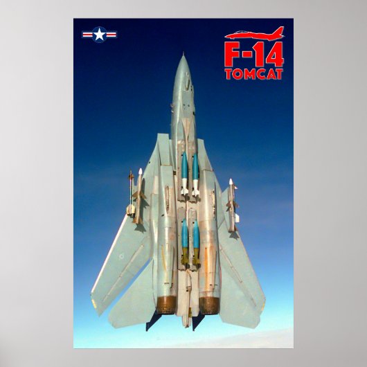F-14 TOMCAT ポスター (正面)