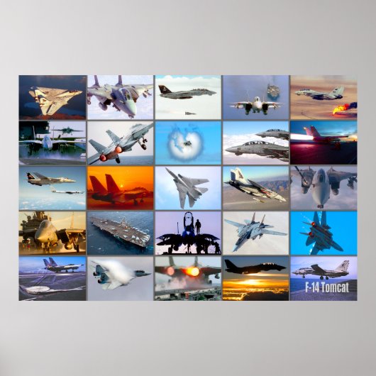 F-14 TOMCAT 「モンタージュ」 ポスター (正面)