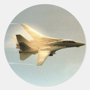 F-14 TOMCAT ラウンドシール