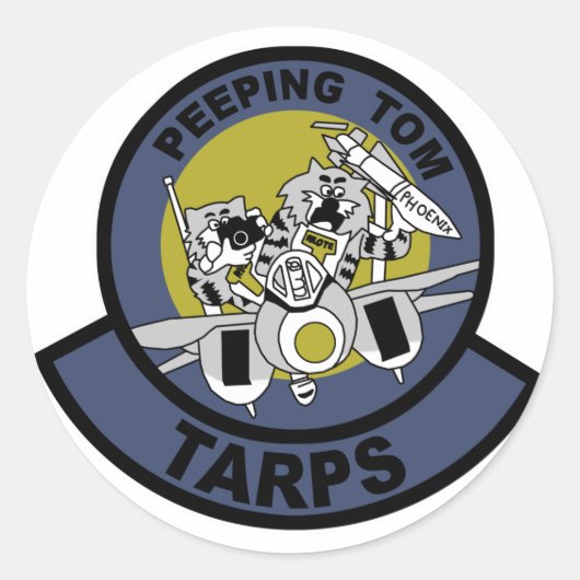 F-14 Tomcat ラウンドシール (正面)