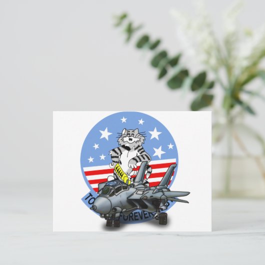 F-14 TOMCAT Forever ポストカード (スタンド正面)