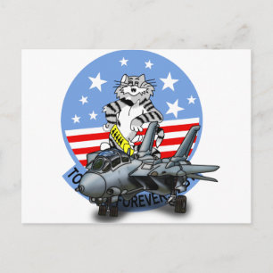 F-14 TOMCAT Forever ポストカード