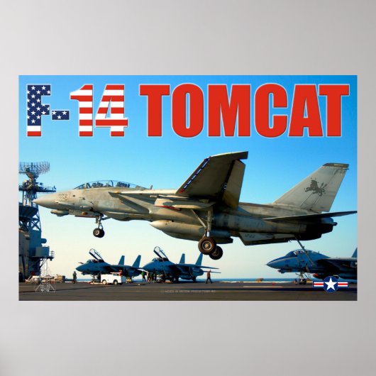 F-14 TOMCAT 「HOOK DOWN」ポスター ポスター (正面)