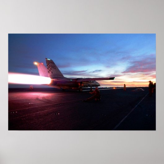 F-14 Tomcat Poster ポスター (正面)