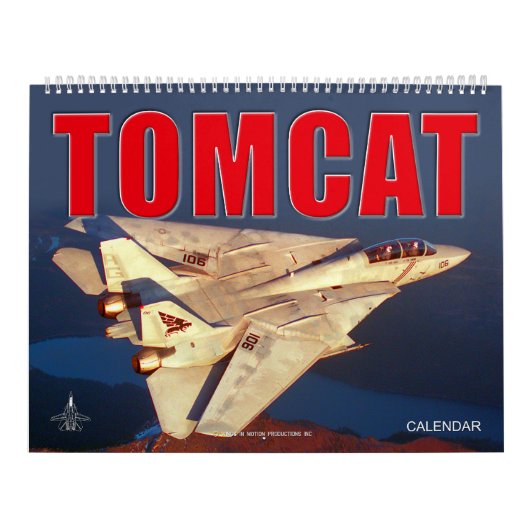 F-14 TOMCAT 「SWING WING」カレンダー カレンダー (カバー)