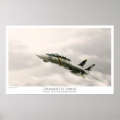 F-14A TOMCAT VF-84 JOLLY ROGERS ポスター (正面)