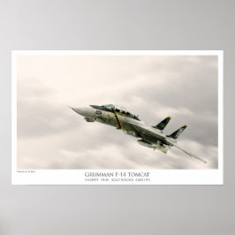 F-14A TOMCAT VF-84 JOLLY ROGERS ポスター